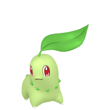 chikorita