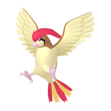 pidgeotto