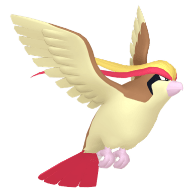 pidgeot